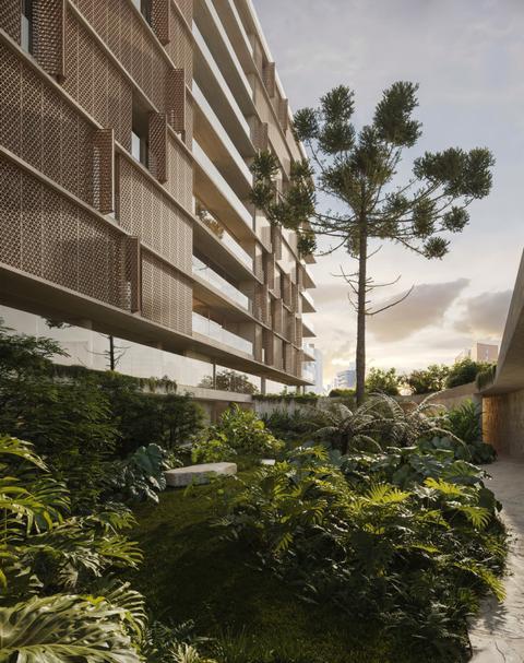 Imagem do lançamento